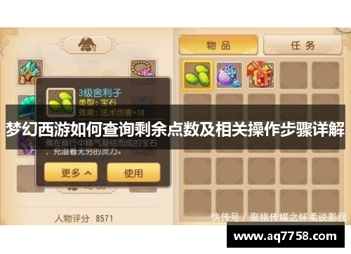 梦幻西游如何查询剩余点数及相关操作步骤详解